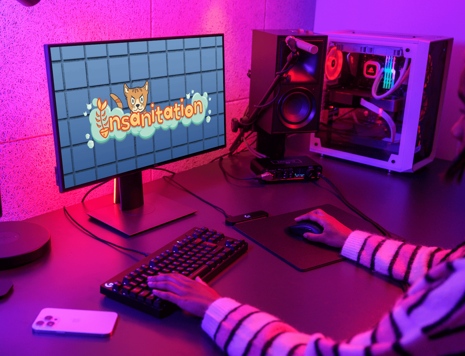 Insanitation Logo Mockup